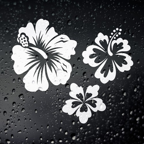 Hawaiian lei hibiscus flowers - lei,