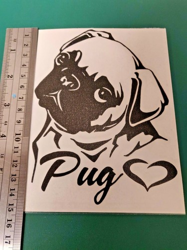Pug love dog - love,
