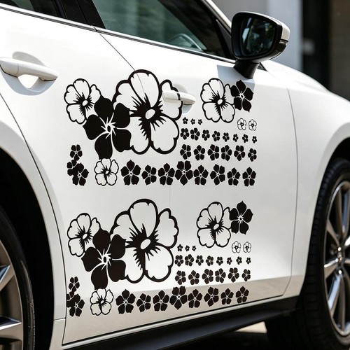 Set car hood - of, stickers