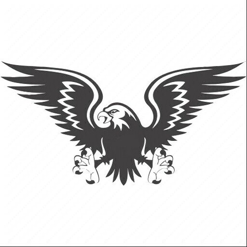 Large hawk eagle car - 30",