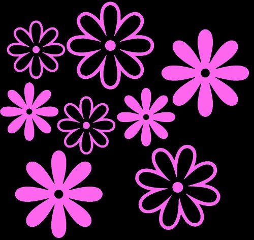 Pink mix daisy flower - pink,