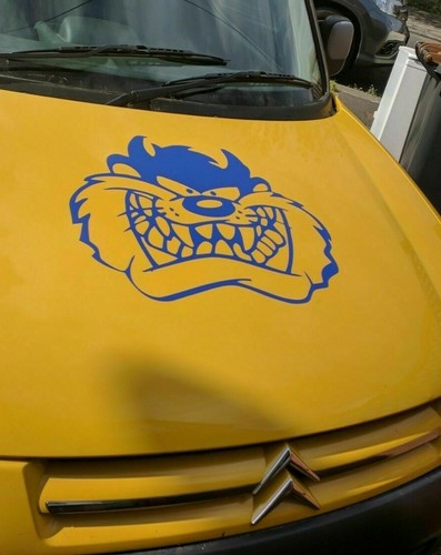 Large car bonnet - 21", side
