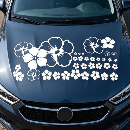 Set car hood stickers - set,