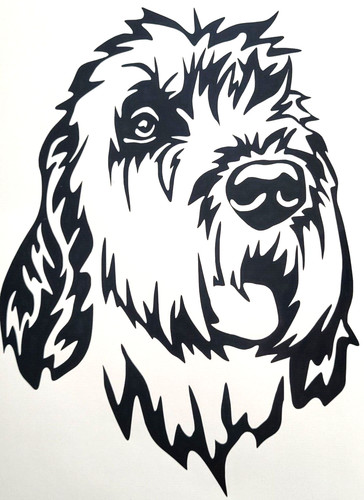 Italiano spinone dog vinyl - italiano,
